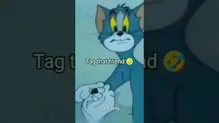 #tomjerrymemes #shortvideo