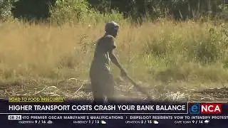 Road to food insecurity | Higher transport costs crash your bank balance