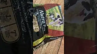 Обзор корма для собак Victor Nutra Pro