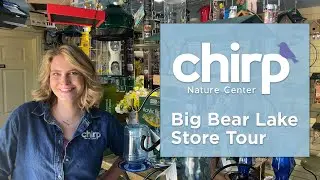 Big Bear Lake Store Tour | Chirp Nature Center
