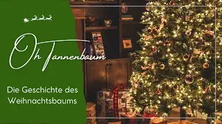 Oh Tannenbaum - eine Zeitreise durch Winter, Licht und Lametta.