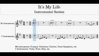 It's My Life Instrumental