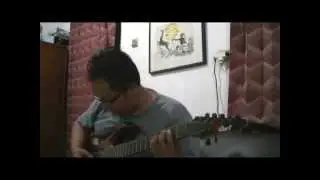 Ganee Custom Pickup 7 string Overwound Paf.