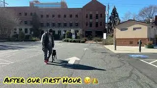 Dog obedience school | Doberman training | puppy training |  behavior modification | OBKS 