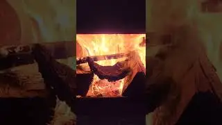 2024-11-18 #ForestLife Morning warmth and crackles to U! #Eudaemonius #YourEveryDaySanta #Fire #FYP