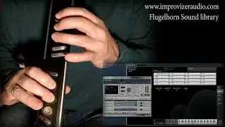Flugelhorn sound library AKAI EWI4000s and free Aria Player, wav, sfz, soundfont brass