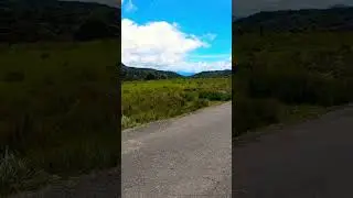 Windy Nature | Green Tuk Tuk Passing Through | Hortorn Plains | Srilanka