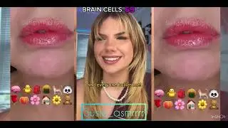 Bailey spin story time dangbee eating POV brain cells
