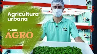 Agricultura do futuro: as fazendas que dispensam terra e até luz solar