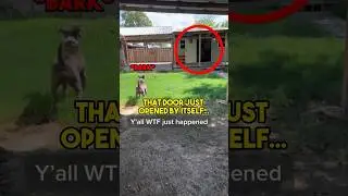 DOG Senses EVIL Presence in Shed&hellip;