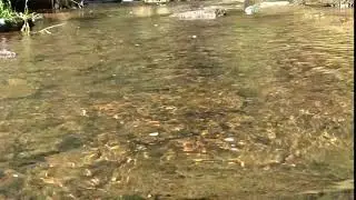 Knox Dam 1