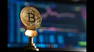 Consensus Algorithms Basics [PART 1]