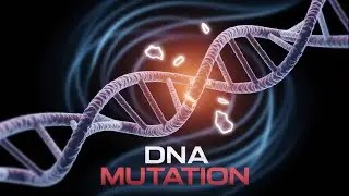 Biology Crash Course for Bioinformatics Part 8 : DNA Mutation