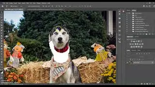 Squijoo Halloween Pet Ghost Digital Backdrop Tutorial