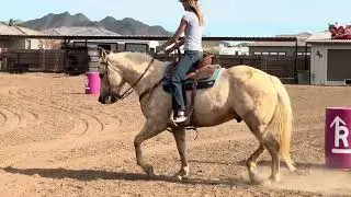 Frank first time on barrels ever