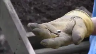 Археологическая полевая школа Восточного Пекота: партнерство с общественностью