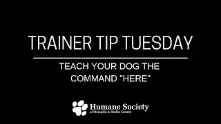 Humane Society Trainer Tip Tuesday - Command 