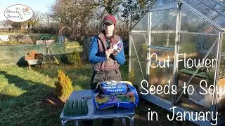 Cut Flower Seed to Sow in January// Stems by Suzanne Cut Flower Garden🌺