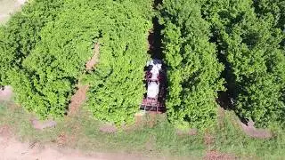 Formbird Farm Automation Macadamia Nuts Yield Optimization