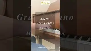 Apollo Grand Piano &ndash; Made in Japan | Ebony Polish | Affordable Church Piano - Washington Pianos