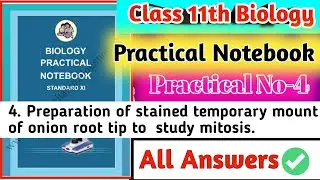 Class 11th Biology Practical Notebook|| 4.Preparation Of Stained Squash Of Onion Root Tip For The