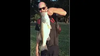 Giant Bass at public pond. (PB!) Is it weird that this happened?