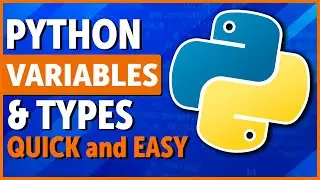 Python Basics: Variables and Types Explained