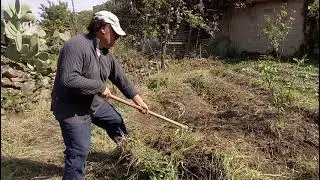 Coltivazione della rapa ,del broccolo e del cavolo da MicheleExpert