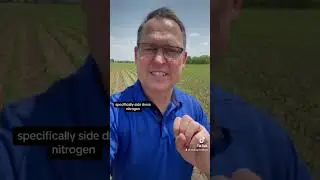 Corn school on nitrogen side-dress application and the 4 R&rsquo;s on realagriculture.com #cdnag #ontag