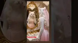 sad cat fairy tales have a happy ending. Sometimes, the beautiful moment #sad #adventure #Heartbreak