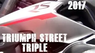 T-Rex Racing Triumph Street Triple RS 2017 Radiator Guard