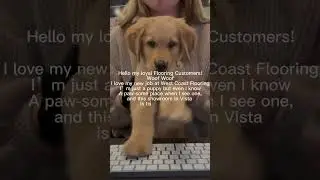 Woof we our furry flooring friends | flooring experts | West Coast Floring Center