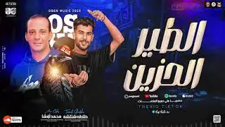 مزمار الطير الحزين ترند 2025 | العالمي محمد اوشا ـ طارق شئلشه | ترند التيك توك طلعات هتكسر السماعات