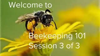 MGCBA Beekeeping 101 Session 3