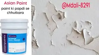 true care interior wall primer Asian Paint #iconstructionnterior # #house #best #waterproof #paint