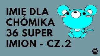 Imię dla Chomika cz. 2 - 36 Fajnych Propozycji | Imionowo