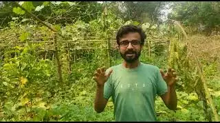 Short introduction of bon