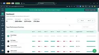 Team Performance  Dashboard  - timegram Tutorial