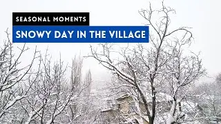 Snowy Day in a Quiet Village &ndash; Raw Winter Landscape