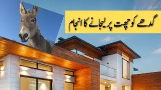 status standard | moral story | story of a donkey | zeatutor | motivational lecture in Urdu/Hindi