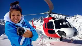Surprised my family with Helicopters and Puppies