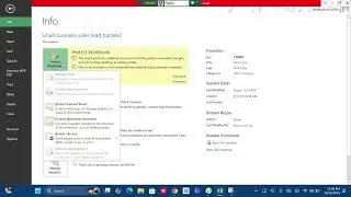 📘 Excel File Menu Info Tab | Full Explanation for Beginners 01