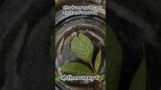 While returning from the temple after offering water, do this work #katha #upay 🌿🌺🚩🔱🧿