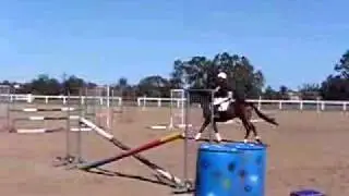 Equestrian Team Training Day