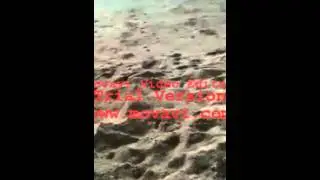 Ultimate Beach Slap!