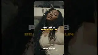 SZA Type Beat - &ldquo;Petals&rdquo; #szatypebeat #4batztypebeat #rnbtypebeat #musicproducer #typebeatsza