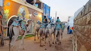 Aswan, Egypt: The Most Unique & Colorful village I’ve Seen