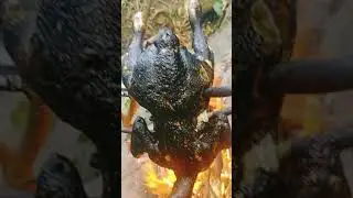 Kodava Tribes exploring unseen KodavaLand | Kodava Boys | Coorg | 2021
