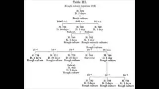 DNA Papers Episode 4: Fred Griffith and the Discovery of Bacterial Transformation
