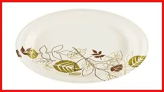 Great product -  Dixie 8.5&rdquo; Medium-Weight Paper Plates by GP PRO (Georgia-Pacific), Pathways, UX9WS,
